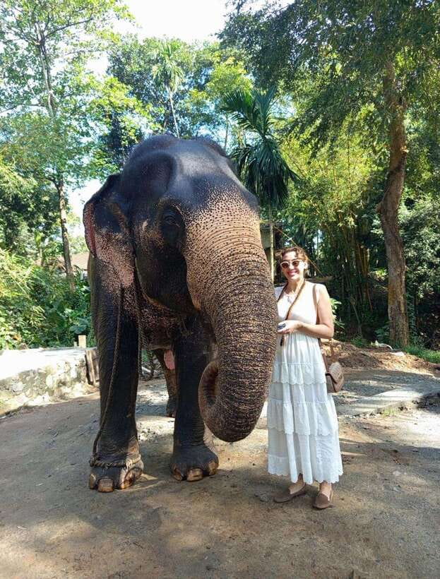 From Colombo or Negombo: Pinnawala, Kandy & Tea Factory Tour - What this Colombo and Negombo day trip really covers
