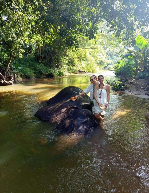 From Colombo or Negombo: Pinnawala, Kandy & Tea Factory Tour - How much driving should you expect?