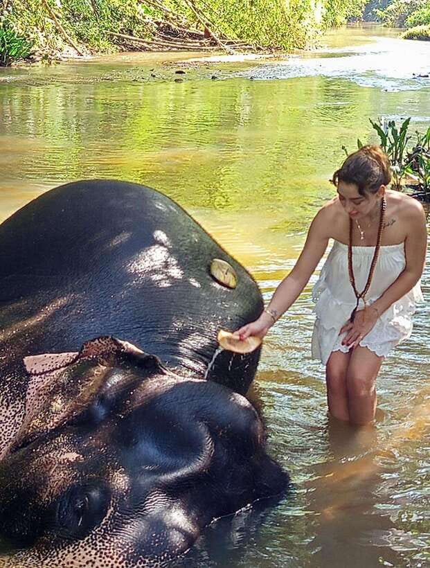 From Colombo or Negombo: Pinnawala, Kandy & Tea Factory Tour - Is the $46 price good value?