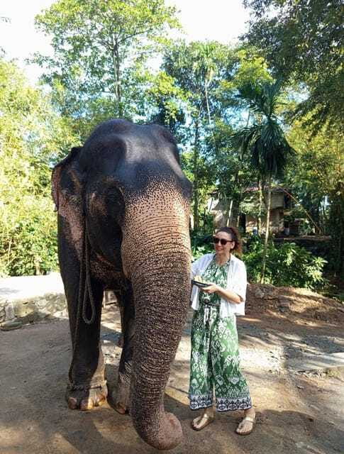 From Colombo or Negombo: Pinnawala, Kandy & Tea Factory Tour - Who should book this experience?