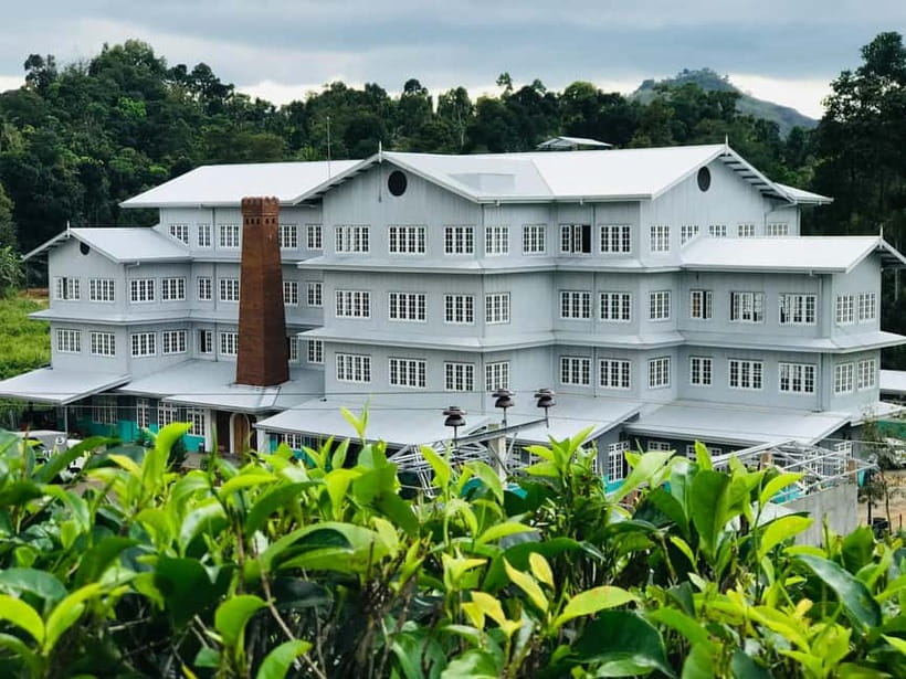 From Colombo: Pinnawala & Tea factory with Kandy Hotel Drop - The driver can shape the whole day