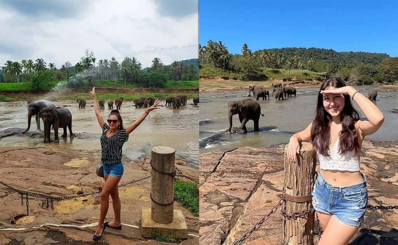 From Colombo: Pinnawala & Tea factory with Kandy Hotel Drop - Pinnawala Elephant Orphanage: the main reason to go