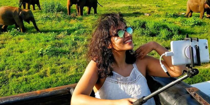 From Colombo: Private Minneriya National Park Day Safari - Key points at a glance