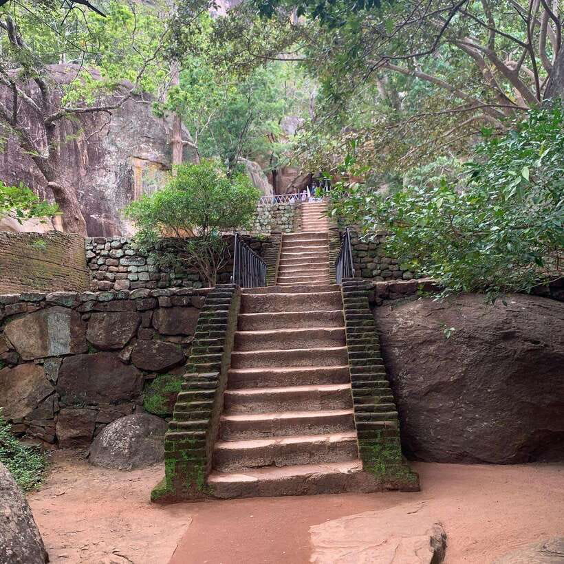 From Colombo: Sigiriya Rock, Dambulla & Minneriya 4x4 Safari - Smart ways to make the day better