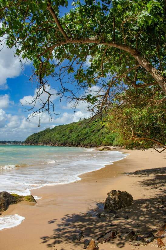 From Colombo to Galle Fort and Jungle Beach Day Trip - What the $70 price really covers