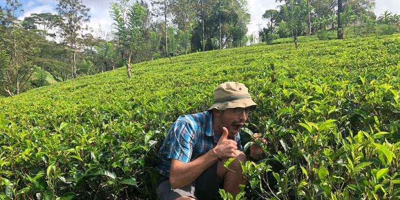 From Colombo: Virgin White Tea and Galle City Tour - Why this Colombo day trip works