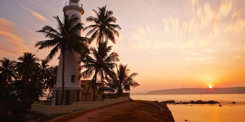 From Colombo: Virgin White Tea and Galle City Tour - Handunugoda and the unusual white tea process