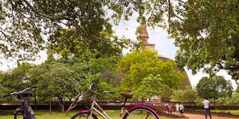 From Dambulla/ Sigiriya: Ancient City of Polonnaruwa by Bike - Why Polonnaruwa works so well by bicycle