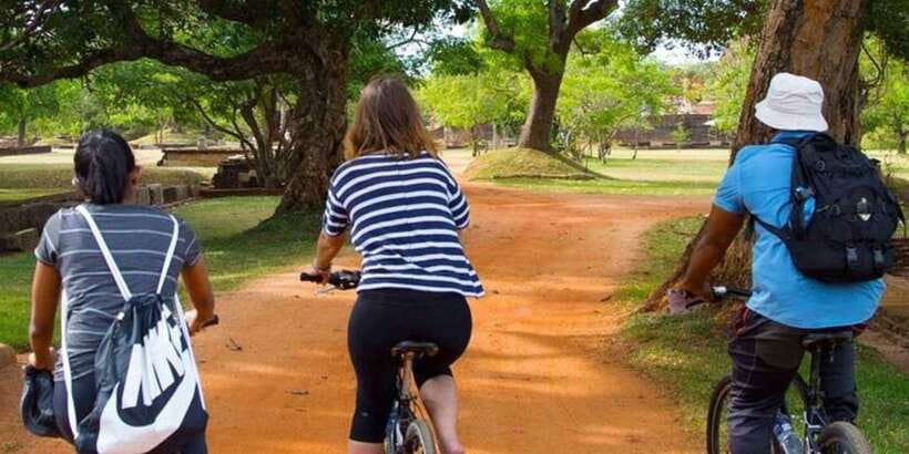 From Dambulla/ Sigiriya: Ancient City of Polonnaruwa by Bike - The morning transfer from Dambulla, Sigiriya, Habarana, or Kandalama