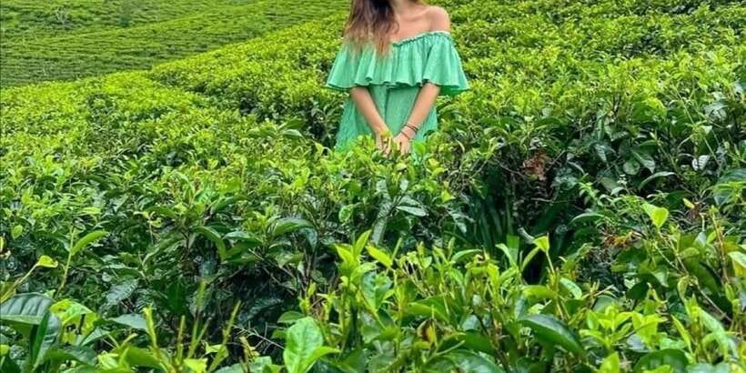 From Ella :All-Inclusive Day Trip to Experience Ella Heights - The Demodara to Ella train is worth the uncertainty