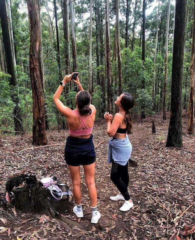 From Ella- All Inclusive Day Trip to Experience Ella & Train - Starting from Ella or Bandarawela