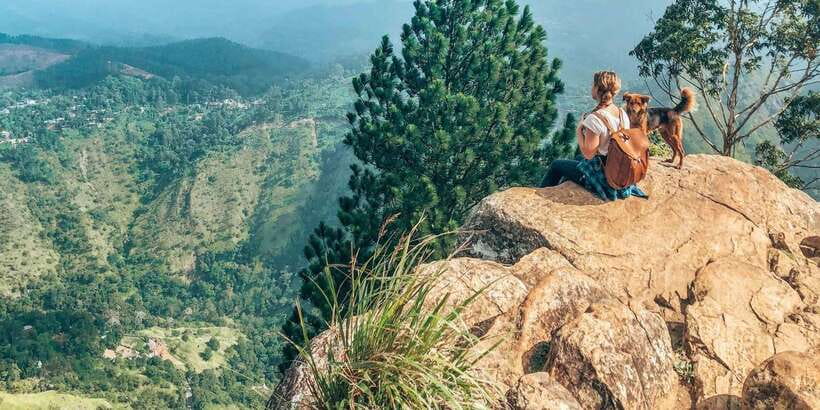 From Ella - All Inclusive Unforgettable Day Trip Tour - Kithalella gives you a calmer viewpoint