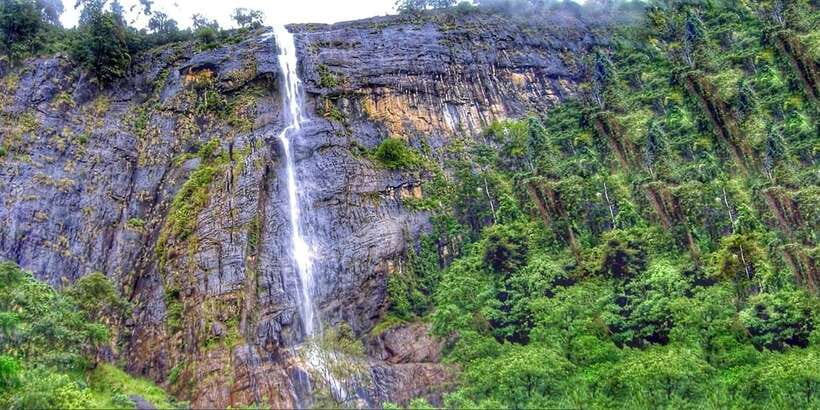 From Ella: Diyaluma Falls Full-Day Tour with Lunch - Key points to know before booking