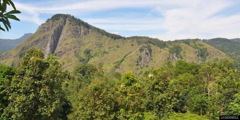 From Ella: Little Adam’s Peak and Nine Arches Bridge Hiking - Key points at a glance
