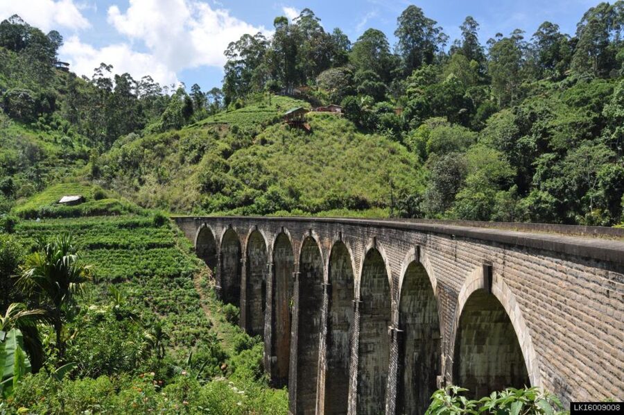 From Ella: Little Adam’s Peak and Nine Arches Bridge Hiking - What the guide adds to the morning