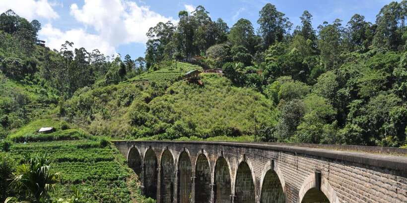 From Ella: Little Adam’s Peak and Nine Arches Bridge Hiking - Who should book this private walking tour?
