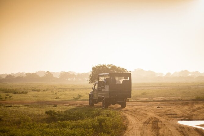 From Ella: Private Yala Safari & Transfer/Tangalle/Mirissa/Galla - Why this Yala safari is worth considering