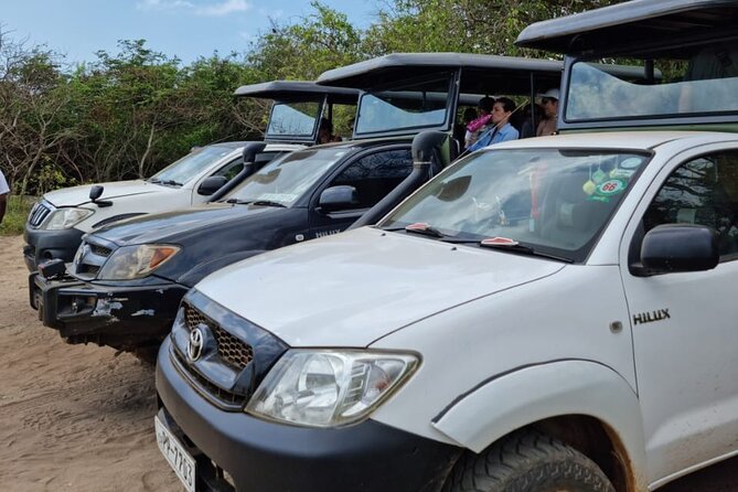 From Ella: Private Yala Safari & Transfer/Tangalle/Mirissa/Galla - Searching for leopards in Yala