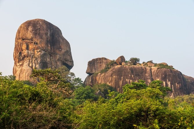From Ella: Private Yala Safari & Transfer/Tangalle/Mirissa/Galla - The park’s elephants, buffalo, birds, and sloth bears