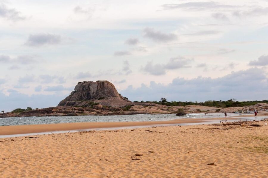 From Ella: Shuttle to Down South Any Location w Yala Safari - Is the safari good for photographers?