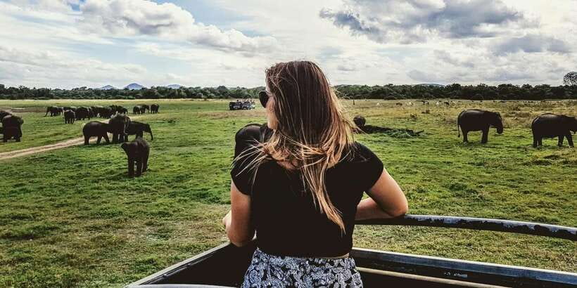 From Ella: Shuttle to Tangalle/Hiriketiya w Udawalawe Safari - What you might see in three hours