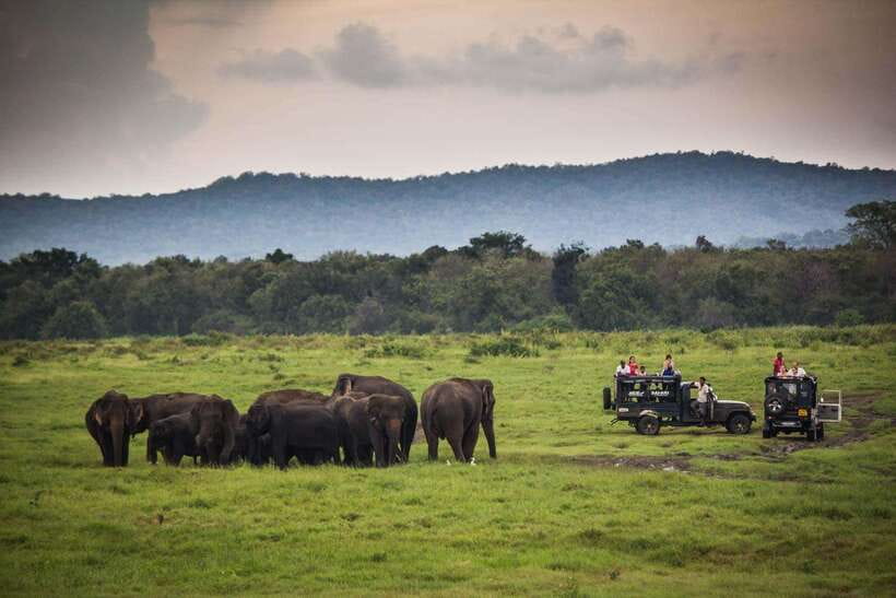 From Ella: Udawalawa Safari and Tangalle/Hiriketiya Transfer - Practical tips for a smoother day
