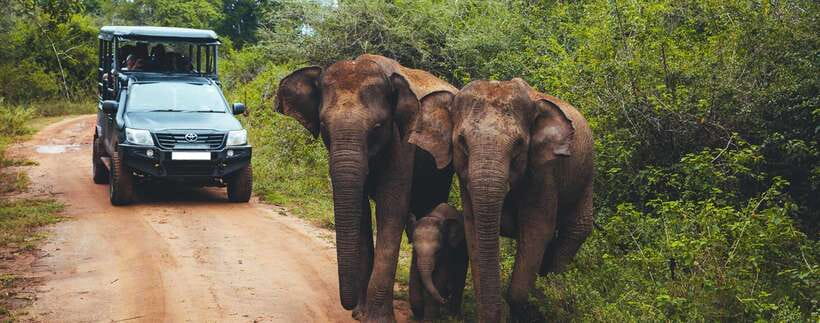 From Ella: Udawalawa Safari and Tangalle/Hiriketiya Transfer - Why this Ella transfer works so well