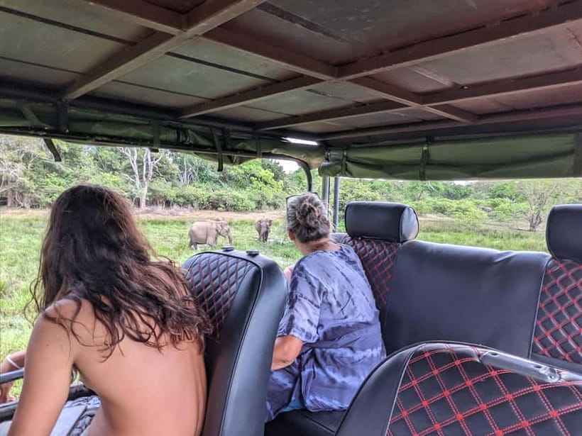 From Ella : Udawalawa Safari & Drop Tangalle/ Mirissa/ Galle - The guide matters more than the sales language