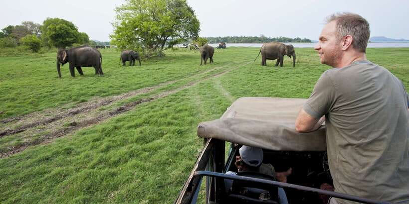 From Ella: Udawalawe Safari with Elephant Transit Home - Key points before you book