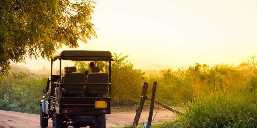 From Ella: Udawalawe Safari with Elephant Transit Home - Lunch in Udawalawe, at your own cost