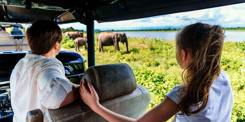 From Ella: Udawalawe Safari with Elephant Transit Home Visit - A 30-minute visit to the Elephant Transit Home