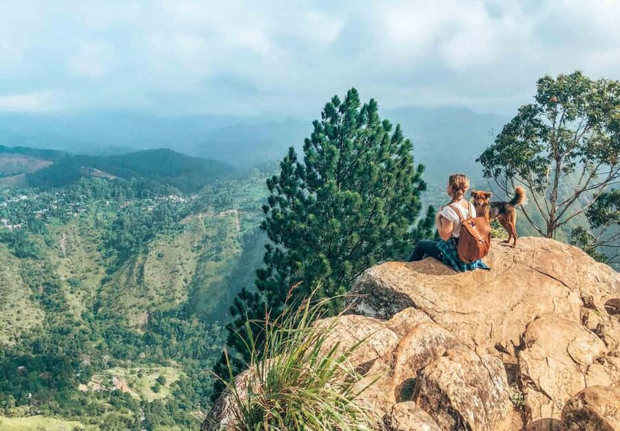 From Ella : Waterfalls, Nine Arch Bridge, Little Adam's Peak - Five things to know before you go