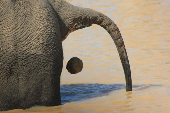 From: Ella - YALA Safari - Drop off: Arugam Bay / Arugambay - Five useful things to know before booking