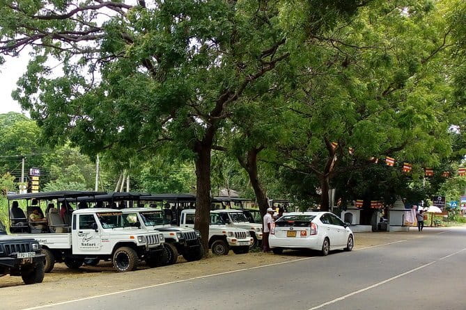 From: Ella - YALA Safari - Drop off: Arugam Bay / Arugambay - The second one-hour drive goes off the main routine