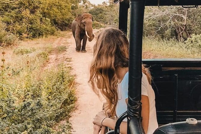 From: Ella - YALA Safari - Drop off: Arugam Bay / Arugambay - Leaving Yala and continuing to Arugam Bay