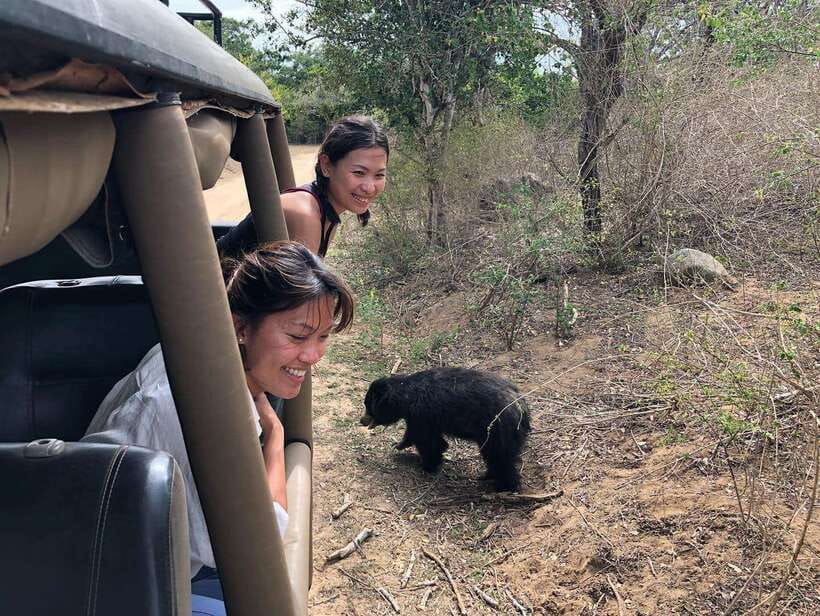 From Ella: Yala Safari Tour with Drop at Tangalle/Hiriketiya - The ride from Ella: comfort with one serious warning