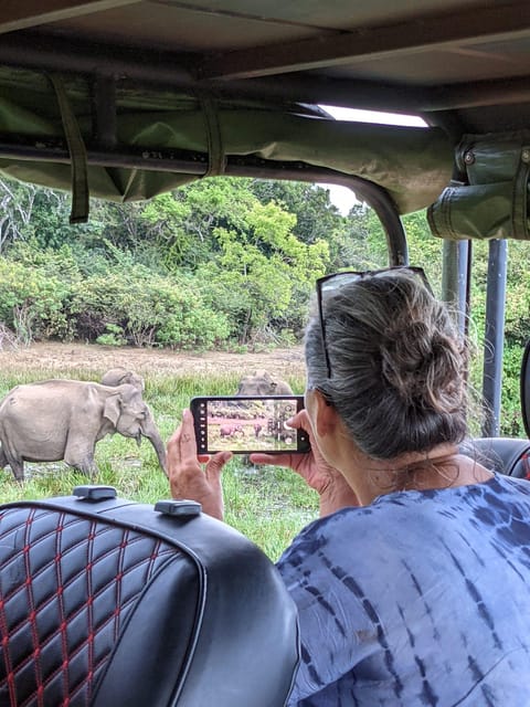 From Ella: Yala Safari & Transfer to Tangalle/Mirissa/Galle - Should you book it?