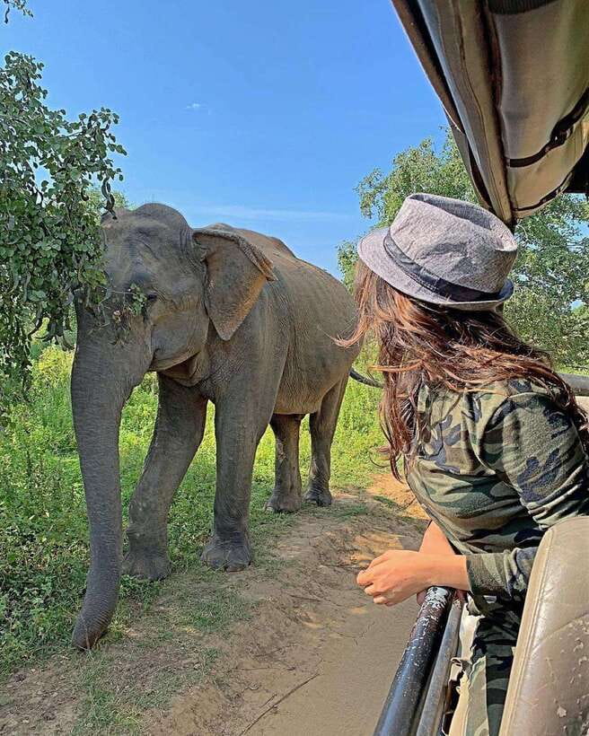 From Ella: Yala Safari with Tangalle/Mirissa/Galle Drop-off - Reaching Yala before the crowds