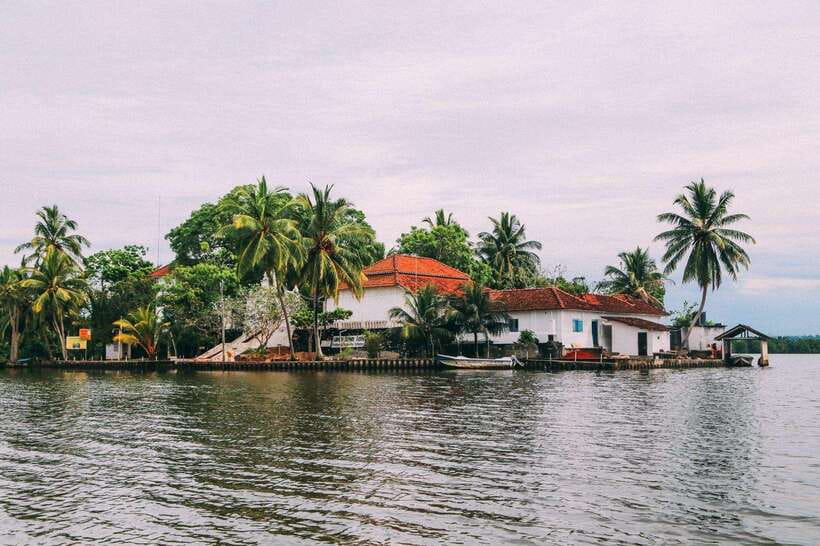 From Galle: Exclusive Madu River Safari & Turtle Hatchery - Leaving the coast for Balapitiya at 8:30 am