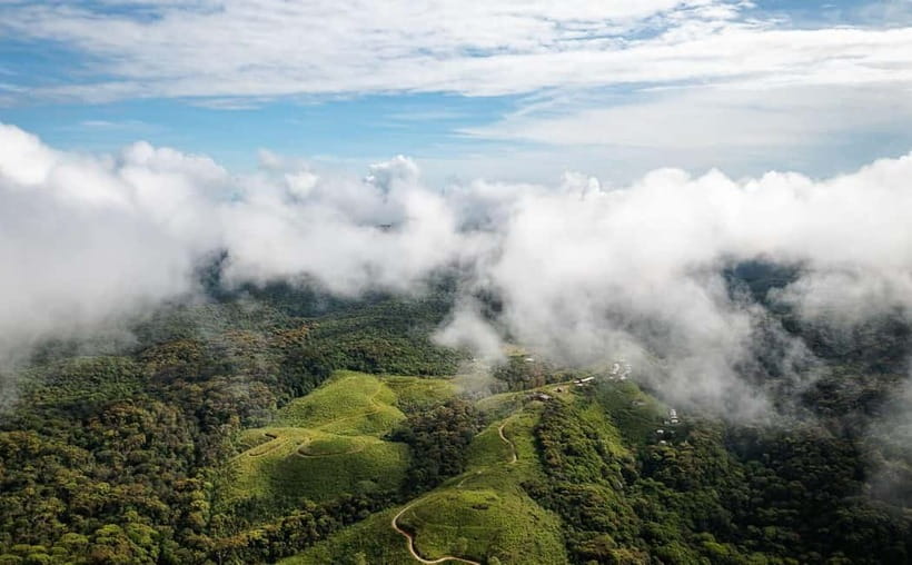 From Galle/Weligama/Mirissa/Matara: Day Trip to Sinharaja - Key Things to Know Before You Go