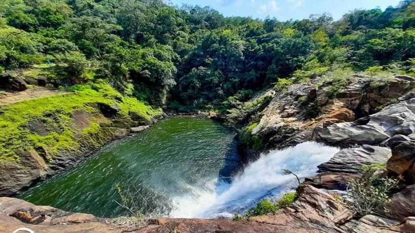 From Galle/Weligama/Mirissa/Matara: Day Trip to Sinharaja - Entering Sinharaja Forest Reserve With a Guide