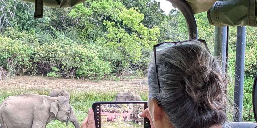 From Hikkaduwa/ Galle/ Mirissa - Yala National Park Safari - The real value of an 11-hour Yala day