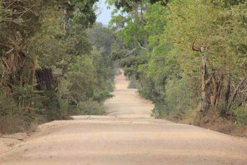 From: Hikkaduwa/ Galle/ Unawatuna/ Talpe - YALA Safari - The second game drive adds breathing room