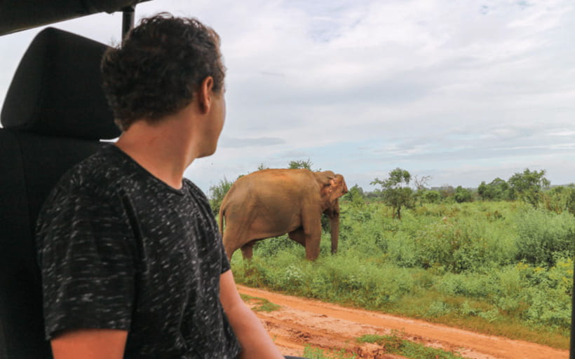 From: Hiriketiya/ Tangalle - Udawalawe Safari - To: Ella - Group size, comfort, and practical limits