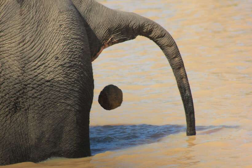 From: Hiriketiya/ Tangalle - YALA Safari Tour - Patanangala: A Useful Pause in the Middle