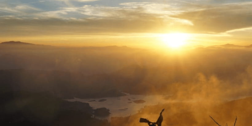 From Kandy: Adams Peak Guided hike via Peak Wilderness - Key points to know before booking