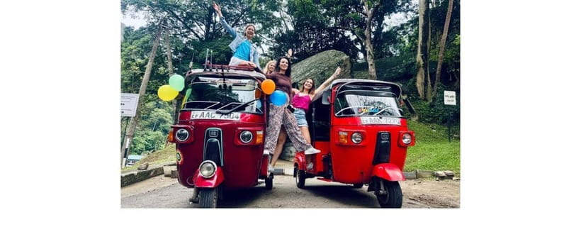 From Kandy: Dambulla to Sigiriya Day Tours - Spice gardens explain Sri Lanka’s flavors