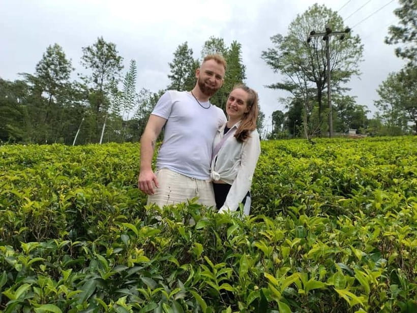 From Kandy: Ella Drop Tour via Nuwara Eliya - Price, timing, and who gets the best value