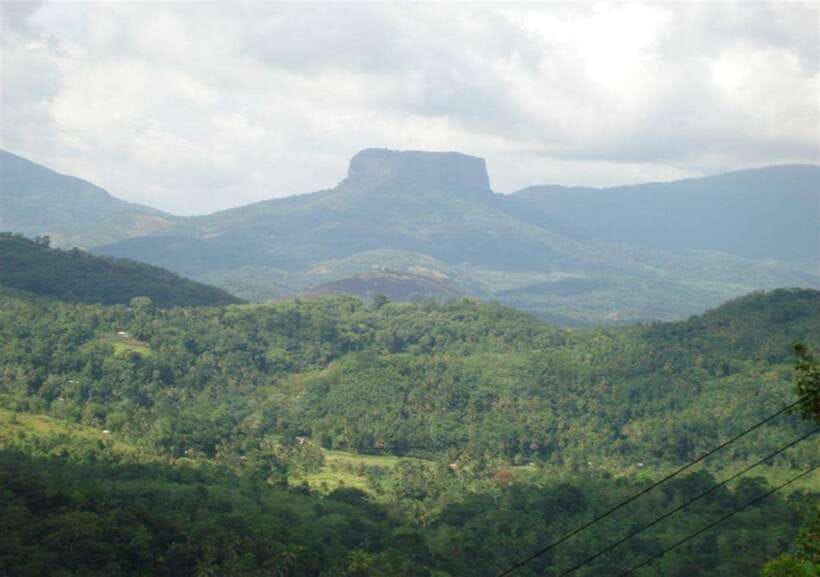 From Kandy: Kandy To Pinnawala Day Tour by Tuk Tuk - Should You Book the Kandy to Pinnawala Tour?