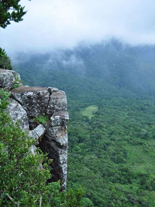 From Kandy: Knuckles Mountain Range Tuk Tuk Safari - Pitawala Pathana grassland and open country